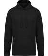 NS431 Native Spirit Unisex French Terry Hoodie Black colour image